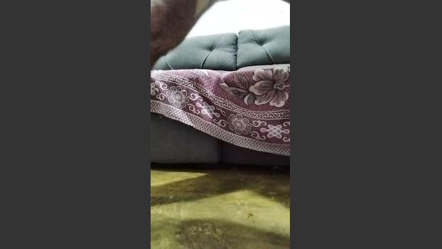 gabimtsexy1 jerking Webcam SHOW @ Cam4 18-12-2025