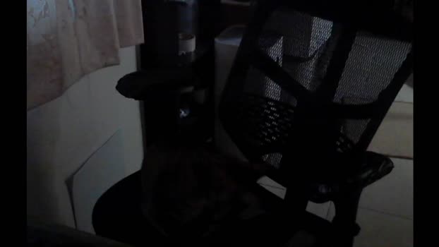 lQAQl blowjob Webcam SHOW @ Cam4 18-12-2025
