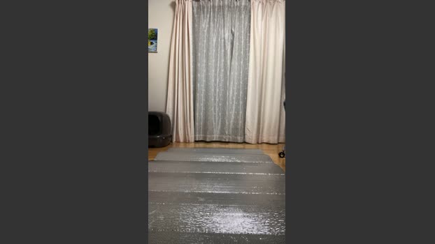 takahisa hard Webcam SHOW @ Cam4 18-12-2025