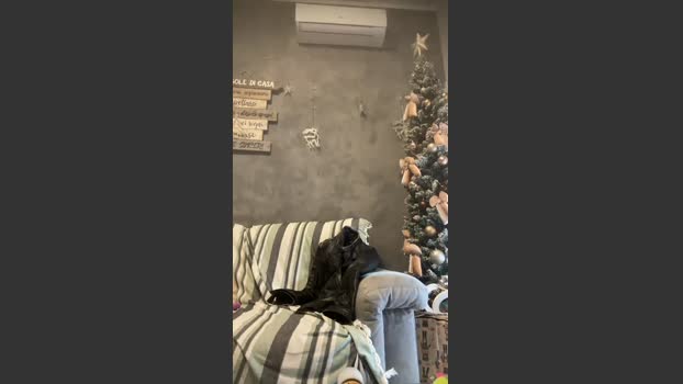 GmGit Ass Webcam SHOW @ Cam4 19-12-2025