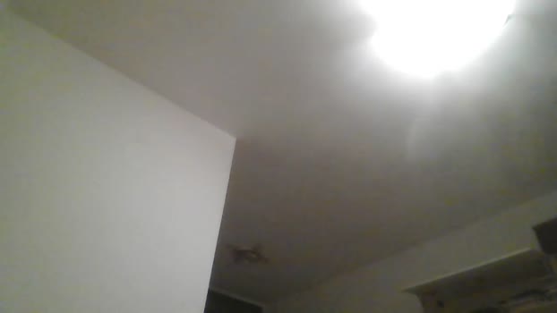 zena_xxx Pretty Webcam SHOW @ Cam4 18-12-2025