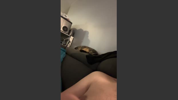 Adrien38220 bigdick Webcam SHOW @ Cam4 21-12-2025