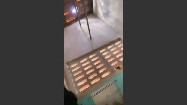 Spiderfindom show Webcam SHOW @ Cam4 20-12-2025