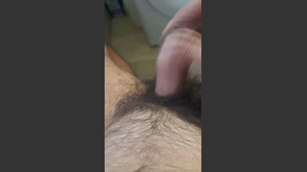 porcone256 sexykitty Webcam SHOW @ Cam4 21-12-2025
