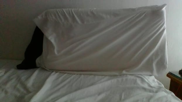 quique0927 nasty Webcam SHOW @ Cam4 21-12-2025