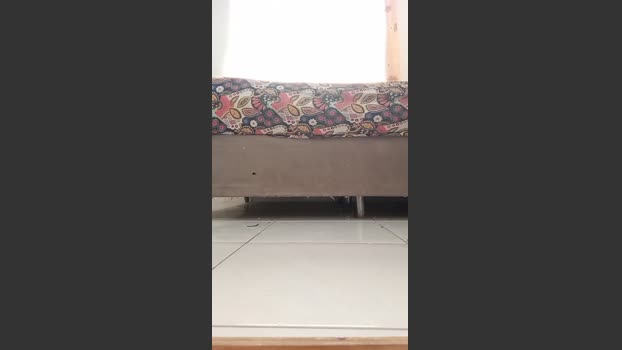 Gabriellyncon suckshow Webcam SHOW @ Cam4 22-12-2025