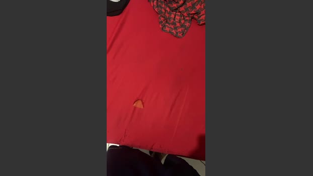 Spiderfindom bicurious Webcam SHOW @ Cam4 22-12-2025