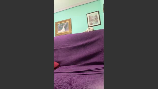 frantri00 love Webcam SHOW @ Cam4 22-12-2025