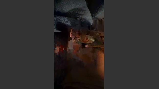 johnyy4444 jerkoff Webcam SHOW @ Cam4 22-12-2025