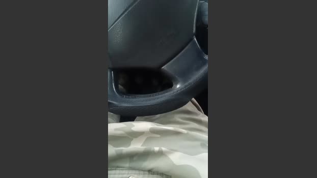 javi1842 analsex Webcam SHOW @ Cam4 23-12-2025