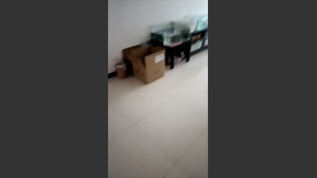 kyan8 bigass Webcam SHOW @ Cam4 23-12-2025