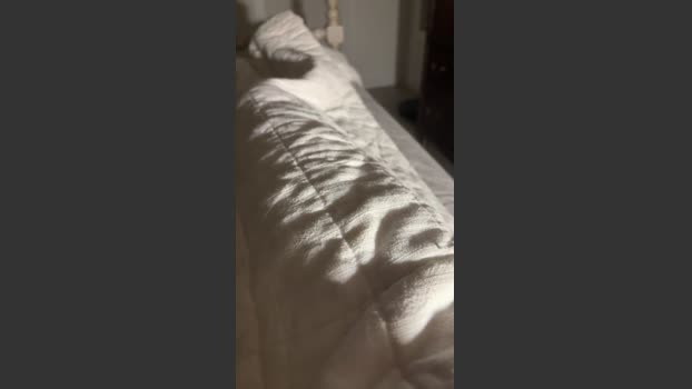 Rhinodaddy69 sexybody Webcam SHOW @ Cam4 24-12-2025