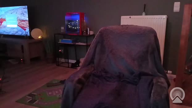 Weezer82 ass Webcam SHOW @ Cam4 24-12-2025