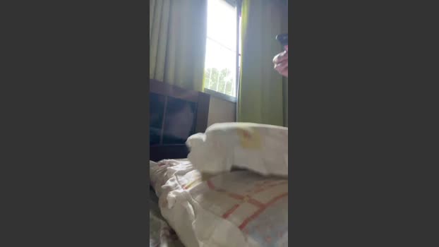 blueeyesmart orgasm Webcam SHOW @ Cam4 24-12-2025