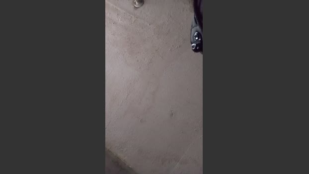 paoandjoe bigdick Webcam SHOW @ Cam4 23-12-2025