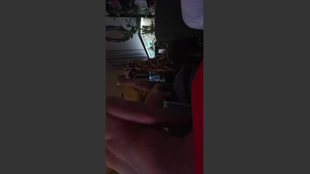 Gapermaker analsex Webcam SHOW @ Cam4 25-12-2025