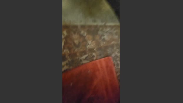 Hornyboy97_ fuckme Webcam SHOW @ Cam4 24-12-2025