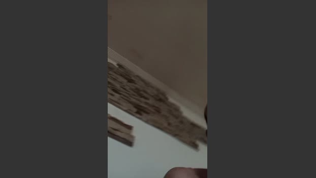 jumy5 wank Webcam SHOW @ Cam4 25-12-2025