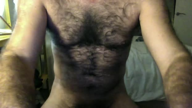 maestroy lush Webcam SHOW @ Cam4 25-12-2025
