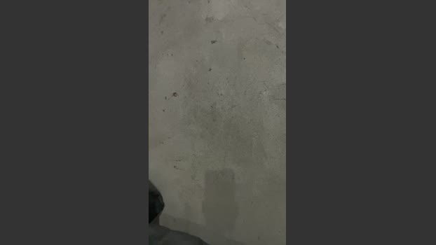 Blackman05 bigdick Webcam SHOW @ Cam4 27-12-2025