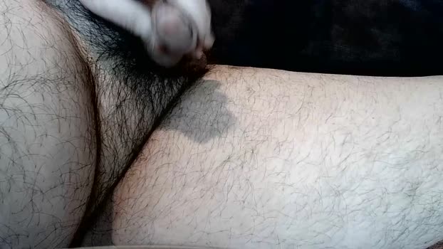 Warndtbaer big Webcam SHOW @ Cam4 27-12-2025