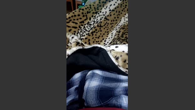 Cuoresexmmm big Webcam SHOW @ Cam4 28-12-2025