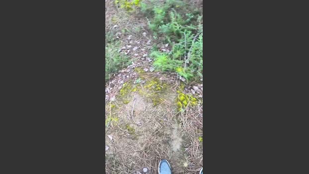 minex2 fuckface Webcam SHOW @ Cam4 28-12-2025