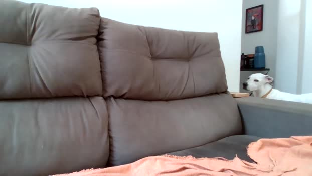 MrSkull4i20 deepthroat Webcam SHOW @ Cam4 29-12-2025
