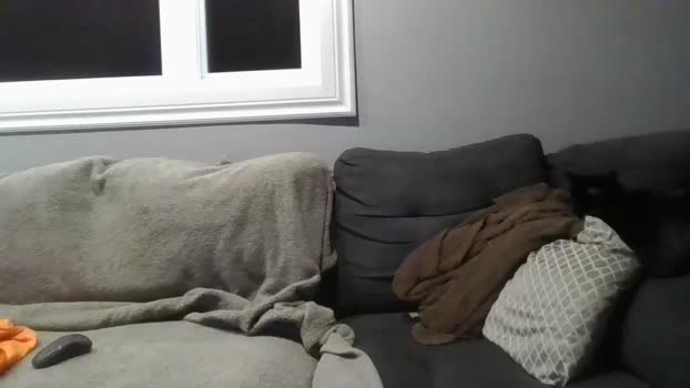 quebecinc1 jerkoff Webcam SHOW @ Cam4 31-12-2025