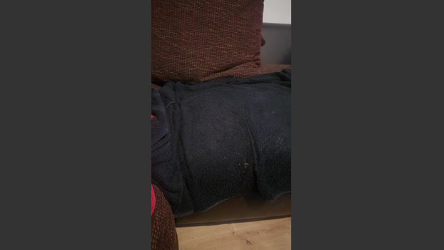 tobi332 handsome Webcam SHOW @ Cam4 31-12-2025
