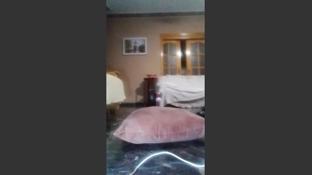 Perrita6888 jerkoff Webcam SHOW @ Cam4 31-12-2025