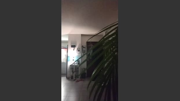 Raibonk7 lush Webcam SHOW @ Cam4 01-01-2026