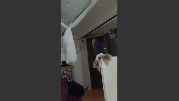 Sanchezbcn Ass Webcam SHOW @ Cam4 01-01-2026