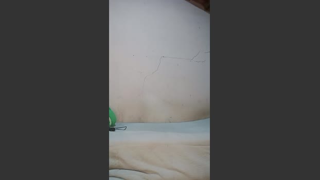 novindago1 sexyfeet Webcam SHOW @ Cam4 01-01-2026