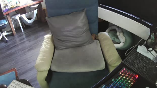 zeenfan Porn Webcam SHOW @ Cam4 01-01-2026