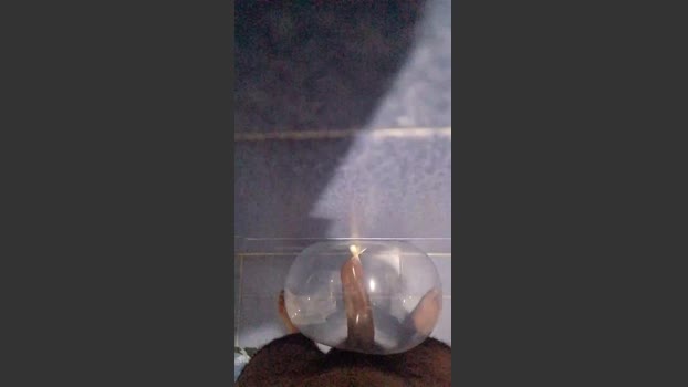Bowe2002 beautiful Webcam SHOW @ Cam4 01-01-2026