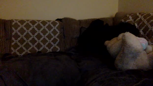 DirtyDaddycam sexyfeet Webcam SHOW @ Cam4 01-01-2026
