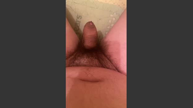 PENA231