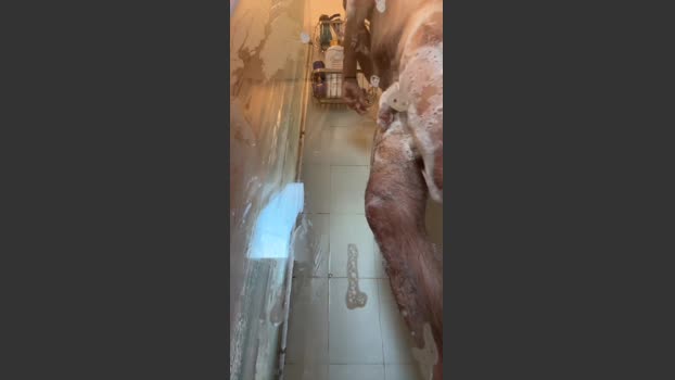 contedig28 naughty Webcam SHOW @ Cam4 02-01-2026