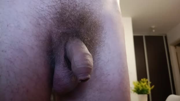 Billcurioso sweet Webcam SHOW @ Cam4 03-01-2026