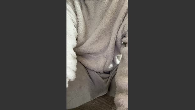Twentytwo95 sex Webcam SHOW @ Cam4 03-01-2026