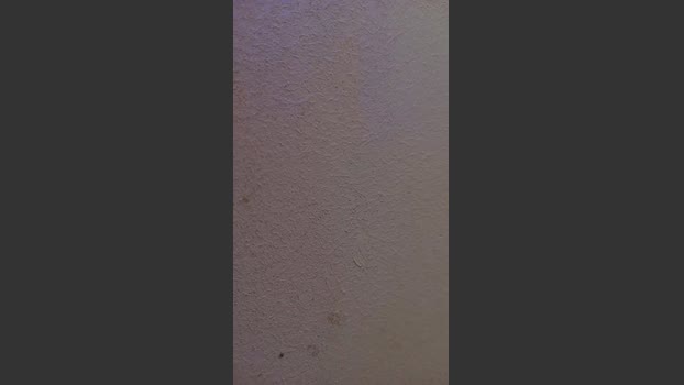 crislecherosexy ass Webcam SHOW @ Cam4 03-01-2026
