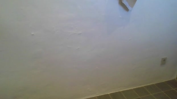 jackbruce1951 legs Webcam SHOW @ Cam4 03-01-2026