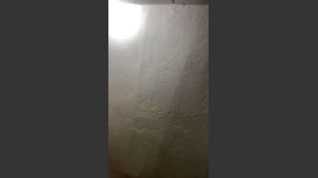 sx123x love Webcam SHOW @ Cam4 02-01-2026