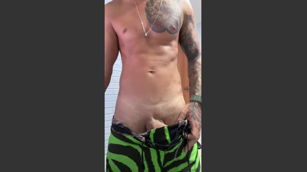 Fehpaugrosso toy Webcam SHOW @ Cam4 03-01-2026