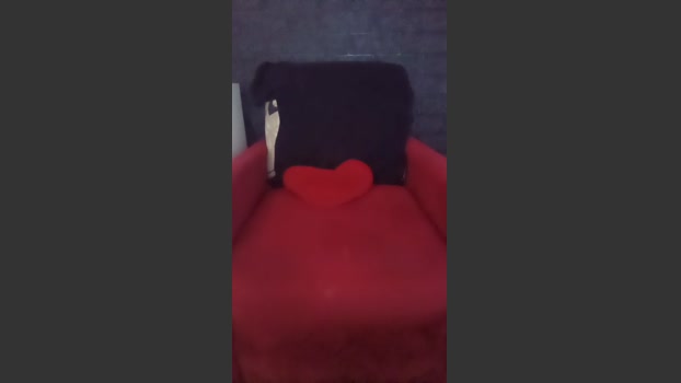 SaymonFitness suckshow Webcam SHOW @ Cam4 03-01-2026