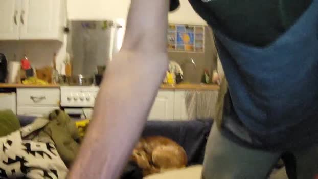 badboifun2 bigcock Webcam SHOW @ Cam4 05-01-2026