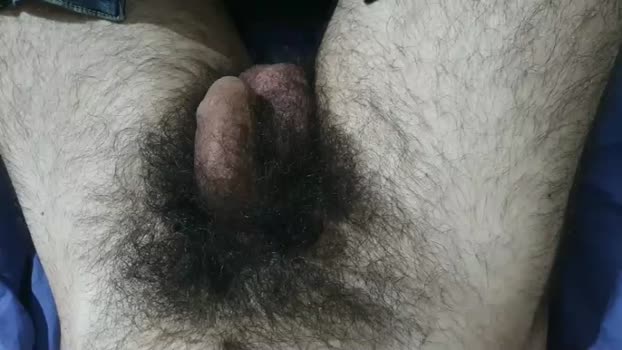 Bomvemcam Webcam Webcam SHOW @ Cam4 07-01-2026