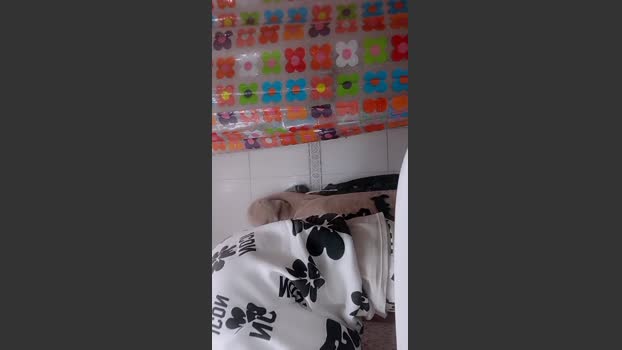 Pollon2jjj52 bigload Webcam SHOW @ Cam4 06-01-2026