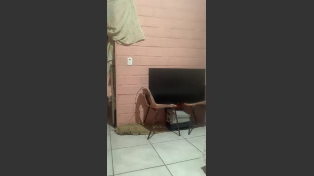 brunootz bigload Webcam SHOW @ Cam4 07-01-2026